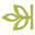 Ancestry Library - In-Library Use Only