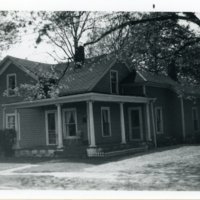 Elm_122_image.jpg