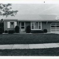 Pelton_230_image.jpg