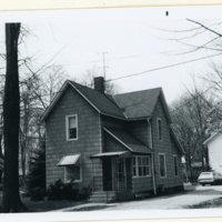 Elm_16_image.jpg