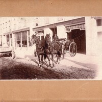 CFD_Horses_undated_001.jpg