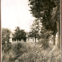 Looking toward the old home at Bethel, corn garden and showing all the row of Maple trees, also the Church in the background. ( no date)
