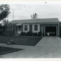 Pelton_251_image.jpg
