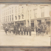 CFD_Group_Horses_undated.png