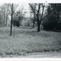 Perkins_314_image.jpg