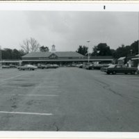 Pearl_W_61_image.jpg