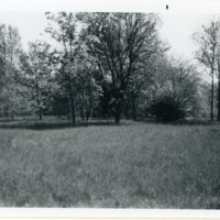 Perkins_320_image.jpg