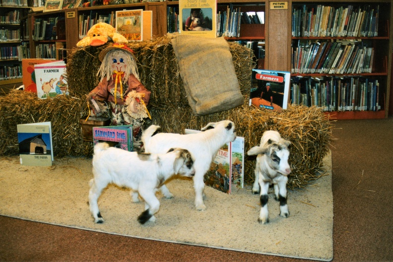 2004 04 20 006