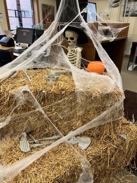 2C668A0B-B29C-47D3-AA85-F4C7F964D11A 1 105 c