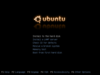 Image: Ubuntu Install 1